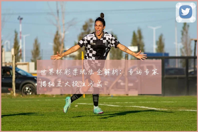 世界杯彩票玩法全解析:专访专家揭秘五大投注方式