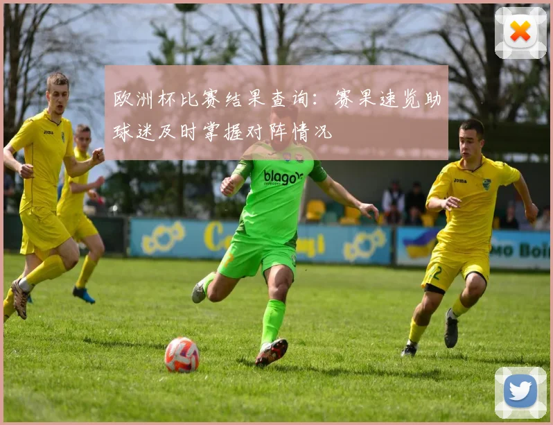 欧洲杯比赛结果查询:赛果速览助球迷及时掌握对阵情况