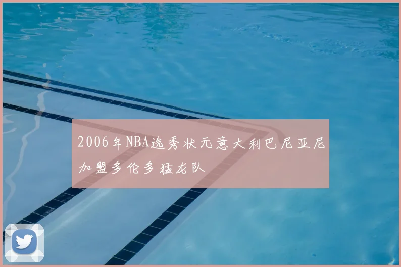 2006年NBA选秀状元意大利巴尼亚尼加盟多伦多猛龙队