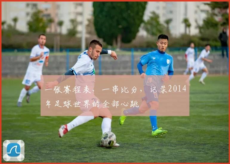 一张赛程表,一串比分,记录2014年足球世界的全部心跳