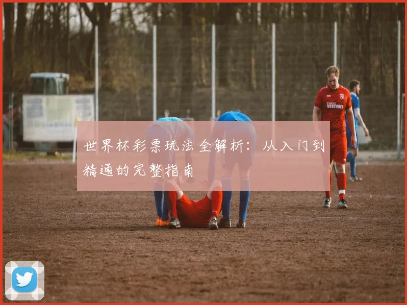 世界杯彩票玩法全解析:从入门到精通的完整指南
