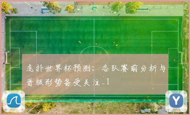 虎扑世界杯预测:各队赛前分析与晋级形势备受关注_1