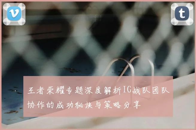 王者荣耀专题深度解析IG战队团队协作的成功秘诀与策略分享
