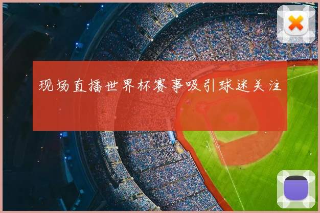 现场直播世界杯赛事吸引球迷关注