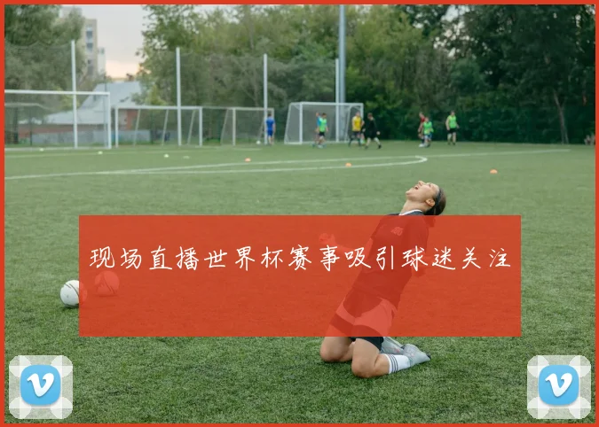 现场直播世界杯赛事吸引球迷关注